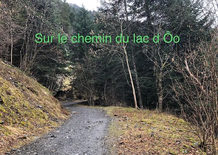 Au Pied Des Pistes