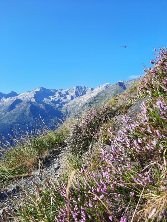 Au Pied Des Pistes Appartement